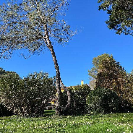 Villa De Miha Valbonne Exterior foto