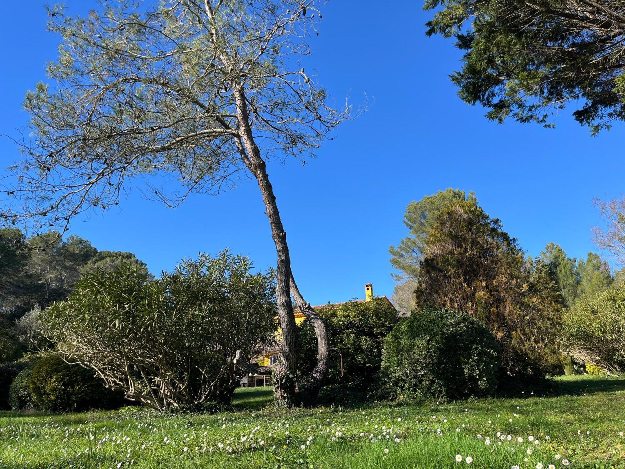 Villa De Miha Valbonne Exterior foto